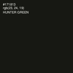 #171813 - Hunter Green Color Image